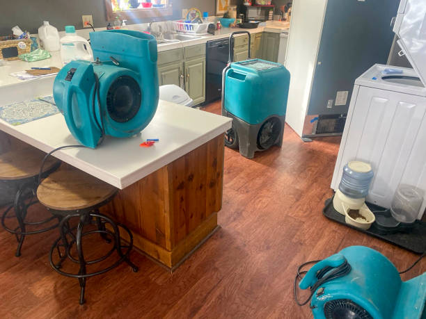 Best Water damage contractors near me  in Forks, WA