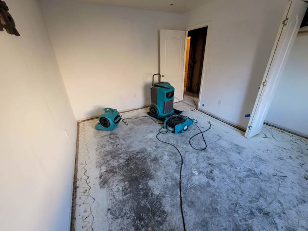 Best Fire Damage Restoration  in Forks, WA