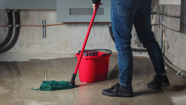 Best Water damage restoration near me  in Forks, WA