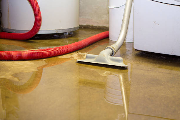 Local water damage restoration in WA