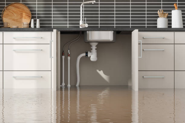 Best Basement water damage restoration  in Forks, WA