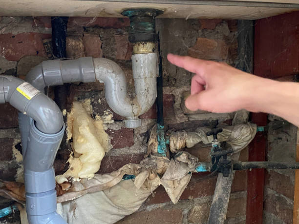 Best Mold removal after water damage  in Forks, WA
