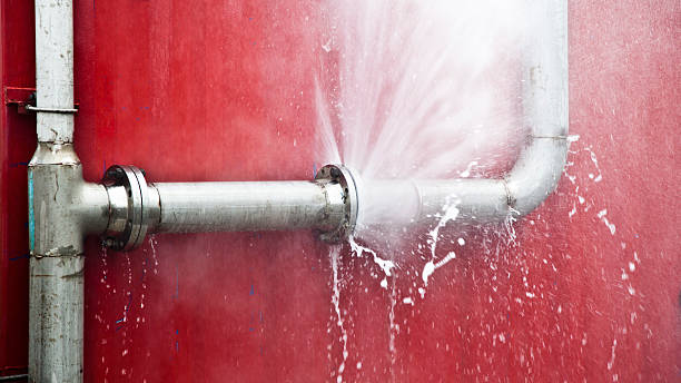 Best 24/7 water damage repair  in Forks, WA